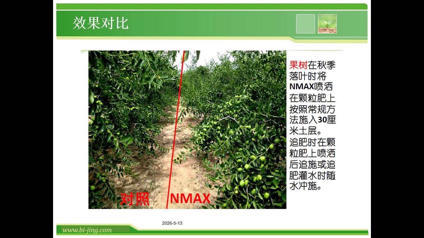 图片 11(1).jpg