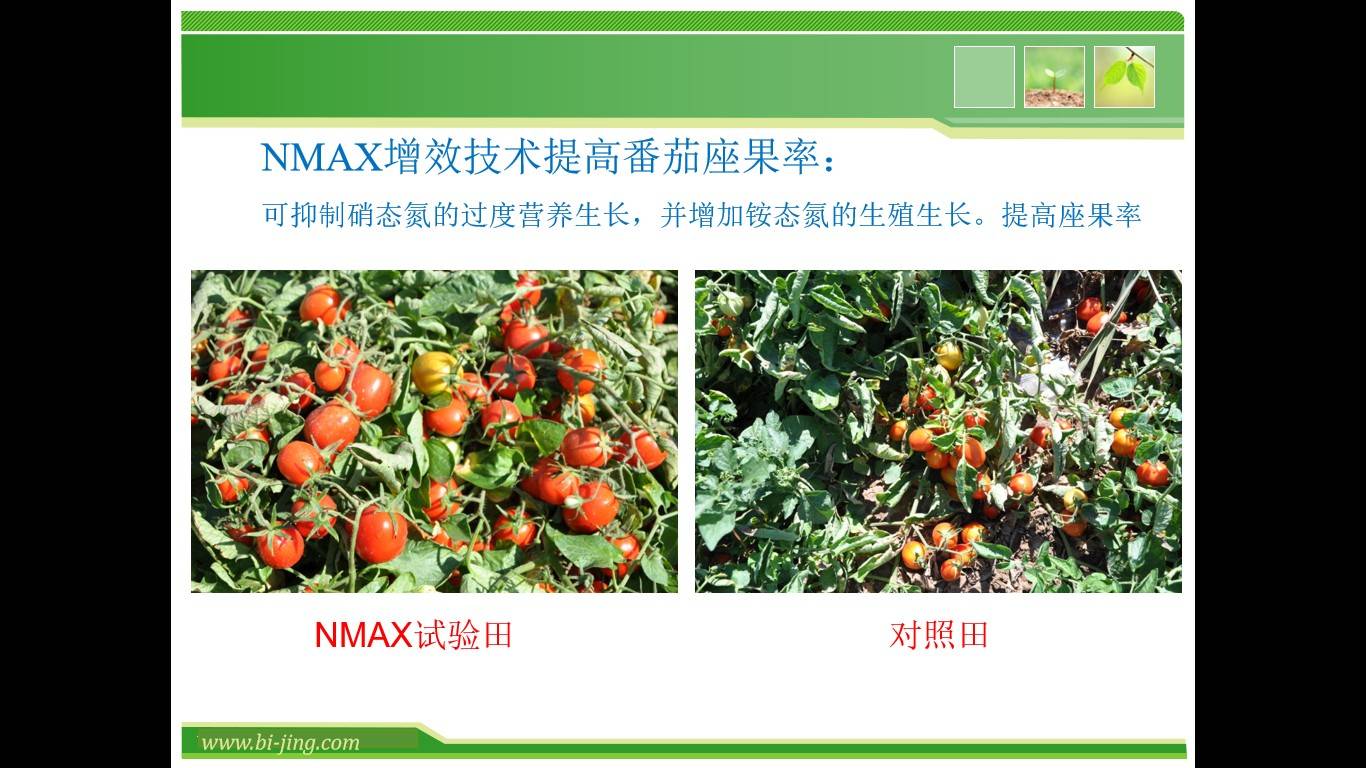 图片 13.jpg