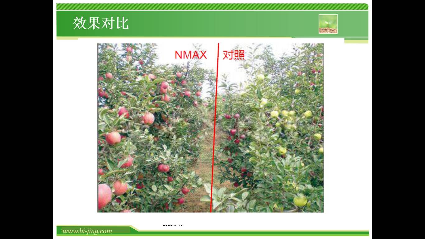 图片 16.jpg