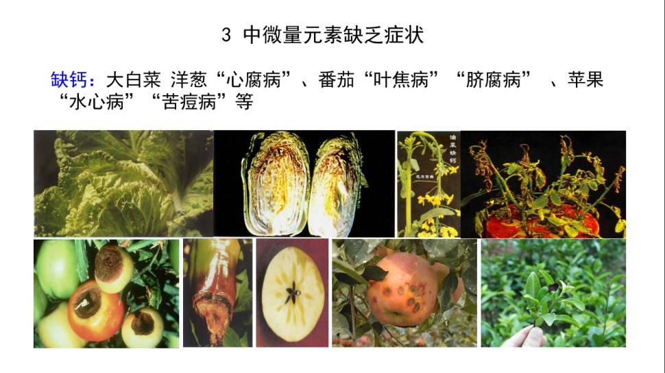图片 3(3).jpg