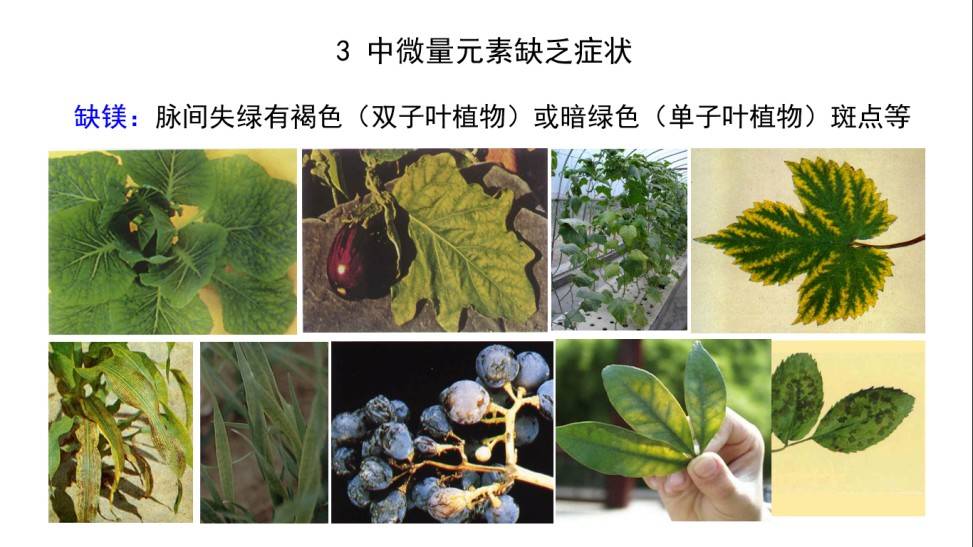 图片 4(3).jpg