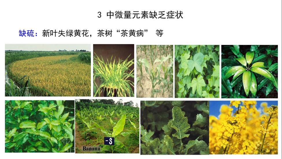 图片 5(3).jpg