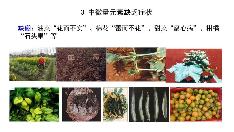 图片 6(3).jpg