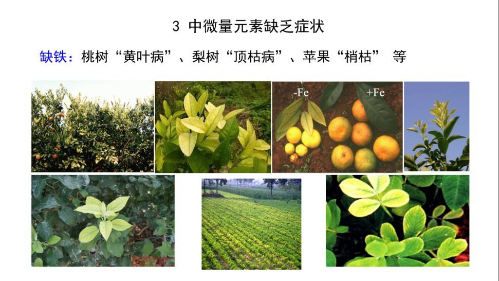 图片 9(3).jpg