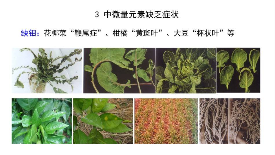 图片 8(3).jpg