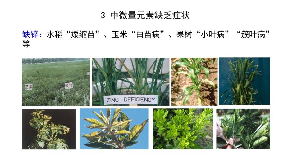 图片 7(3).jpg
