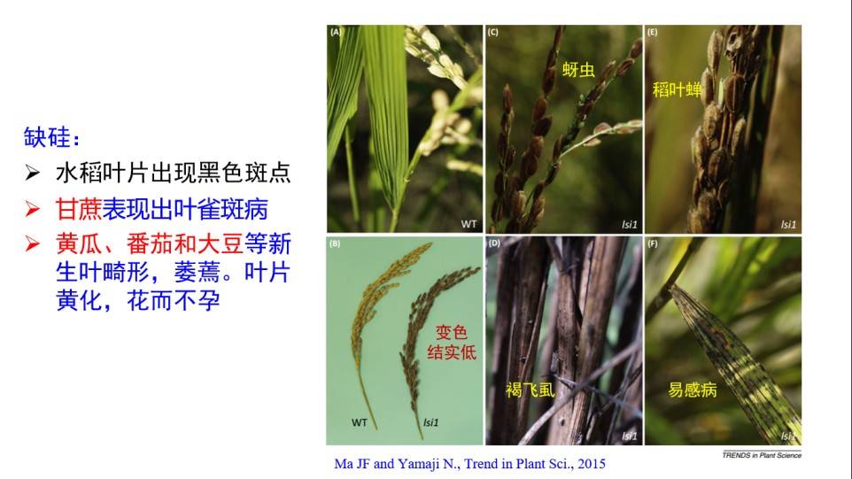 图片 10(3).jpg