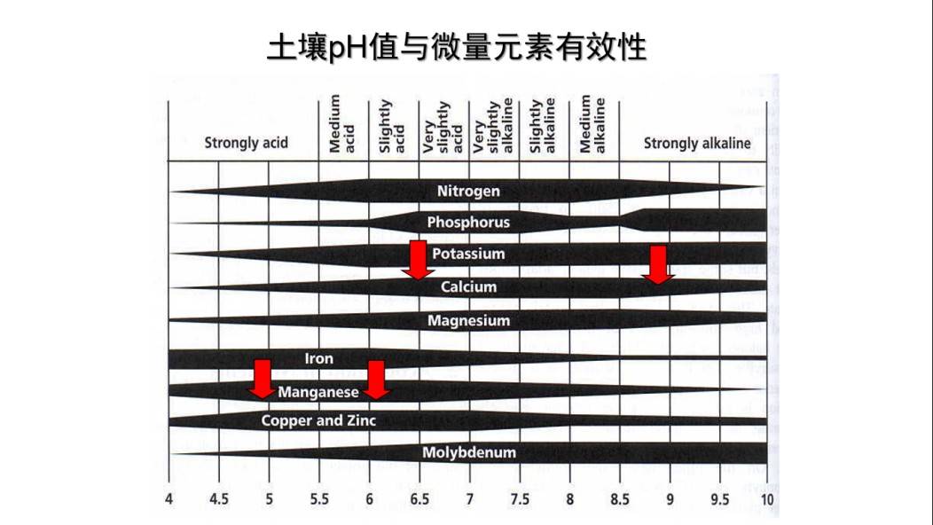 图片 11(2).jpg