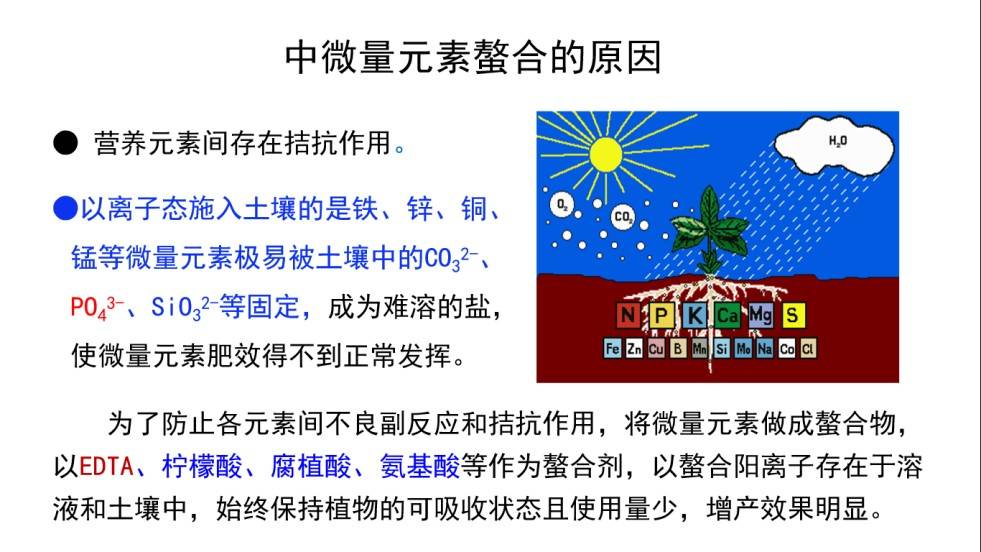 图片 13(1).jpg