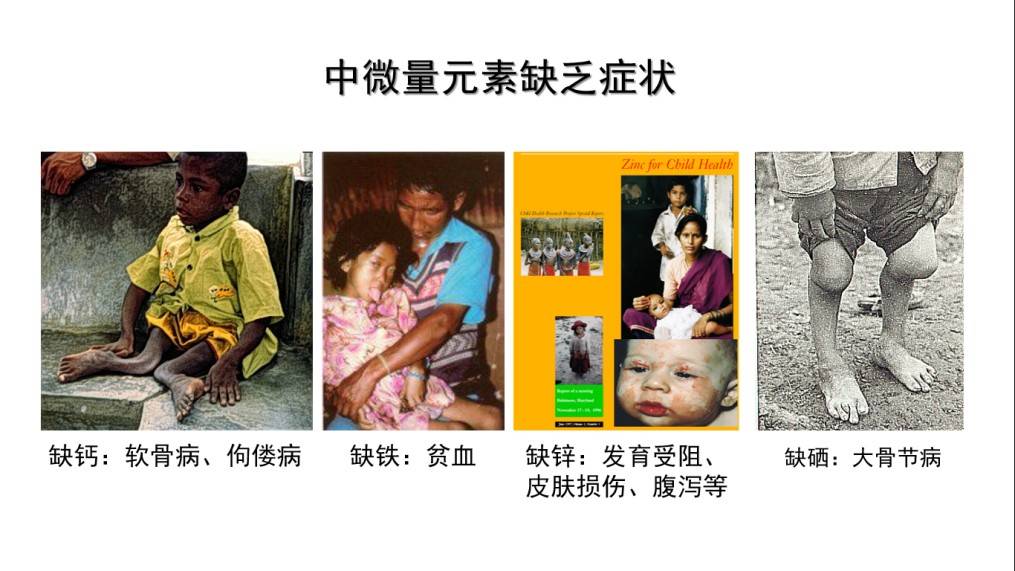 图片 15(1).jpg