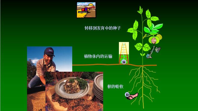 图片 17(1).jpg