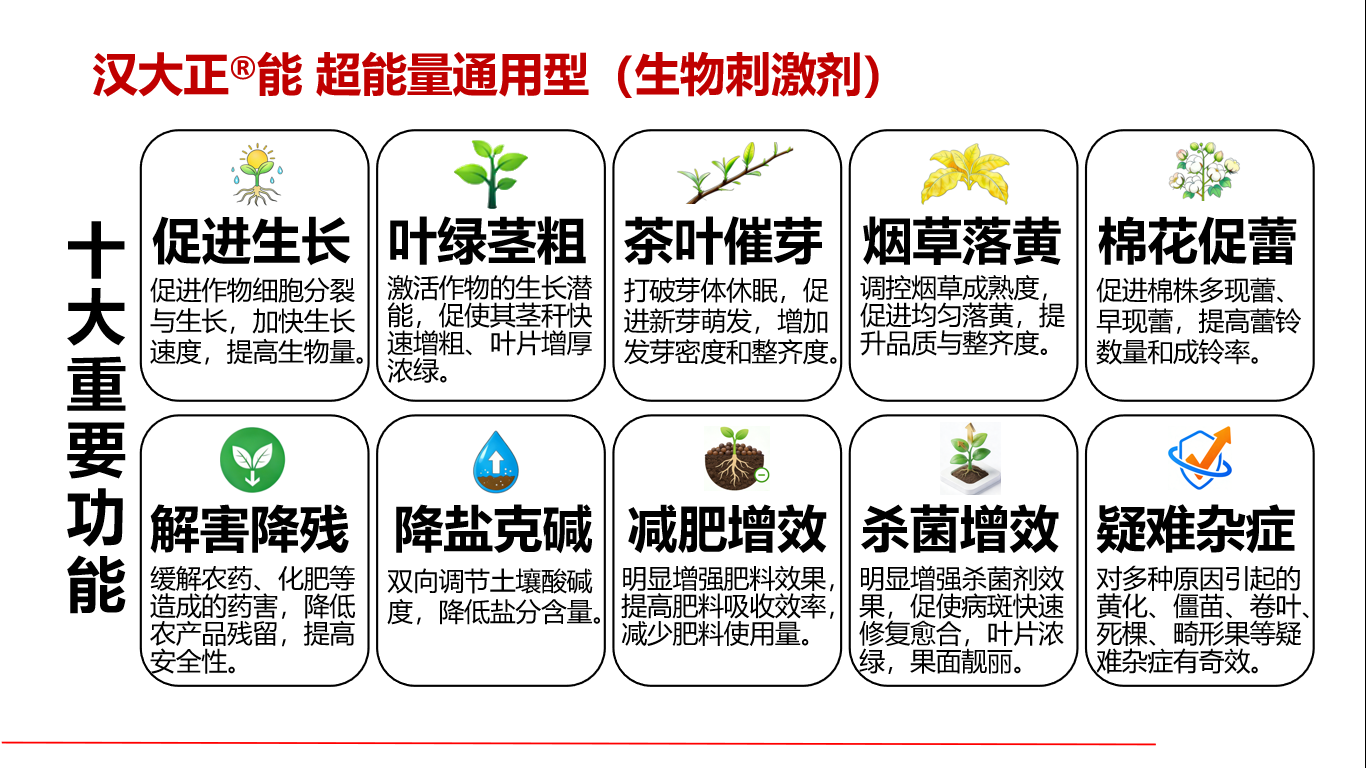 图片 3.png