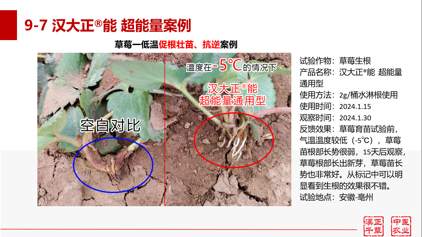 图片 7.png