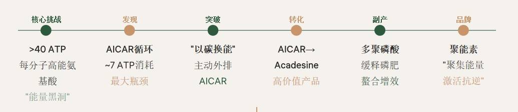 图片 11.jpg
