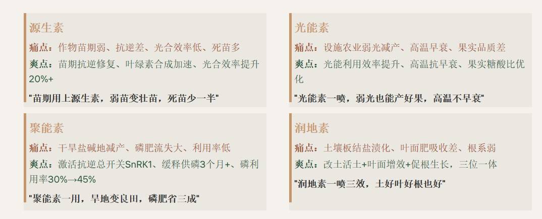 图片 12.jpg