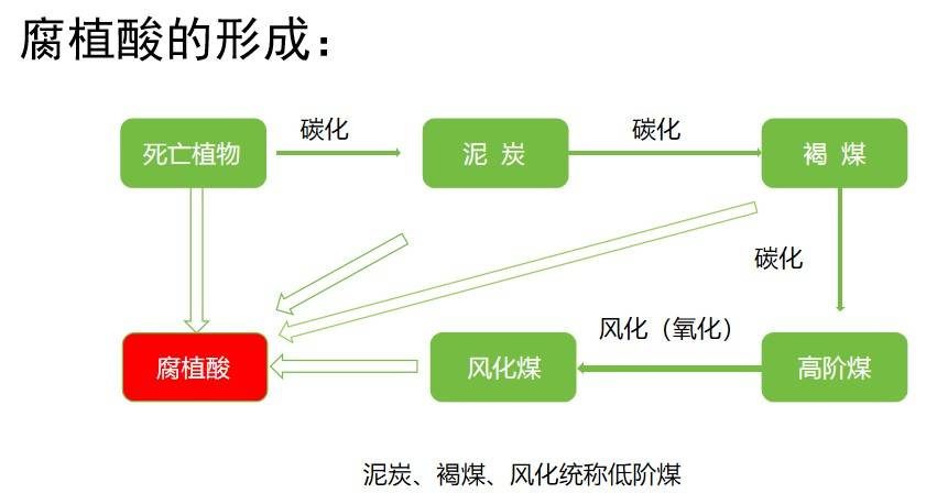 图片 2.jpg