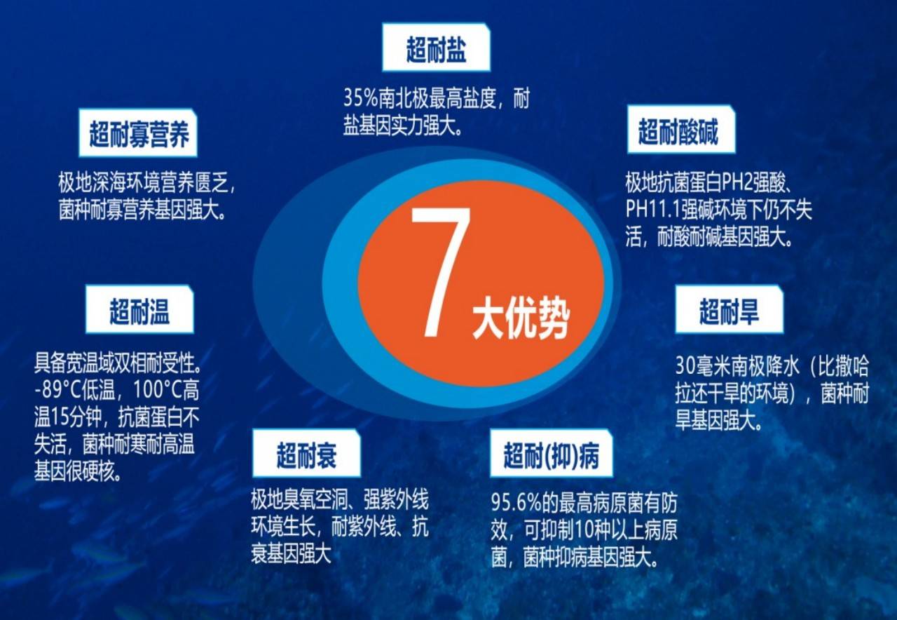 图片 4.jpg