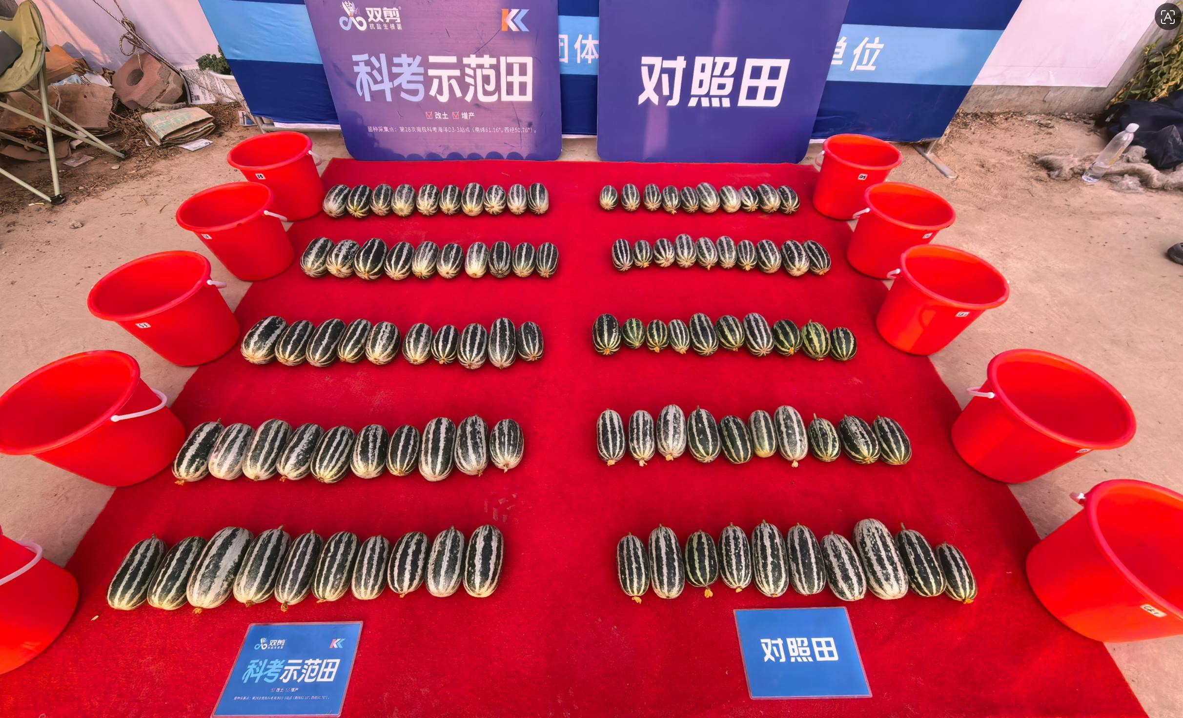 图片 4.jpg