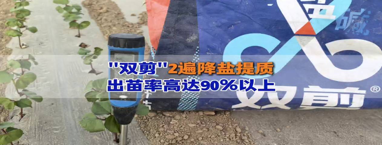 图片 8.jpg