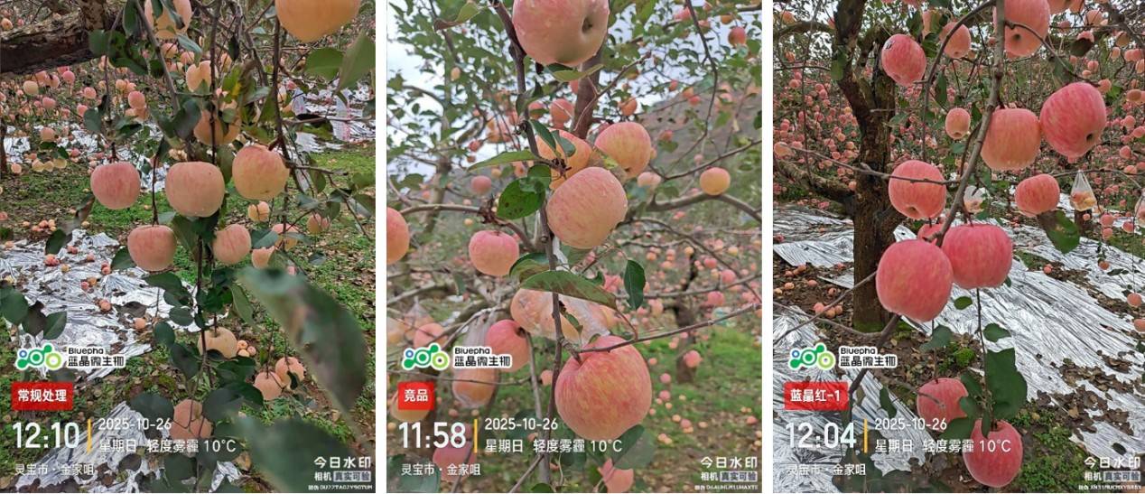 图片 6.jpg