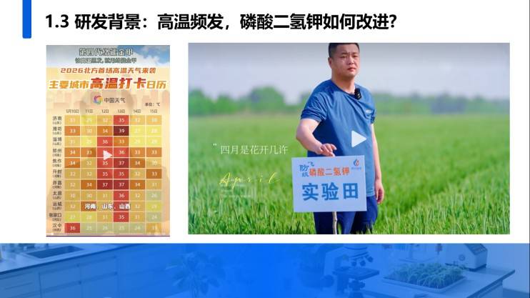 图片 4.jpg