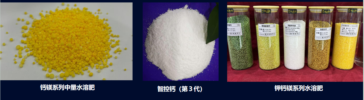 图片32.png
