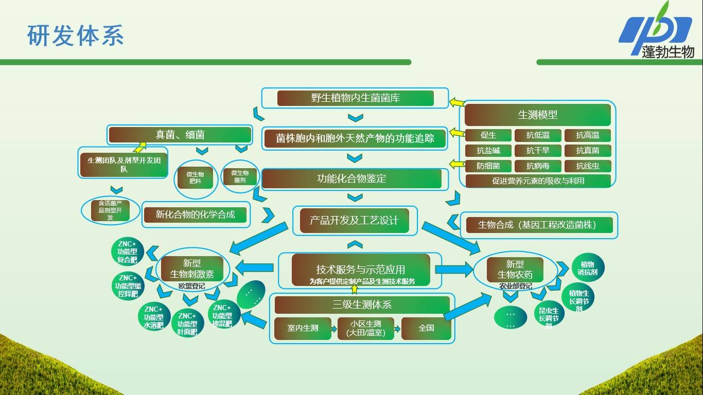 图片 2(1).jpg