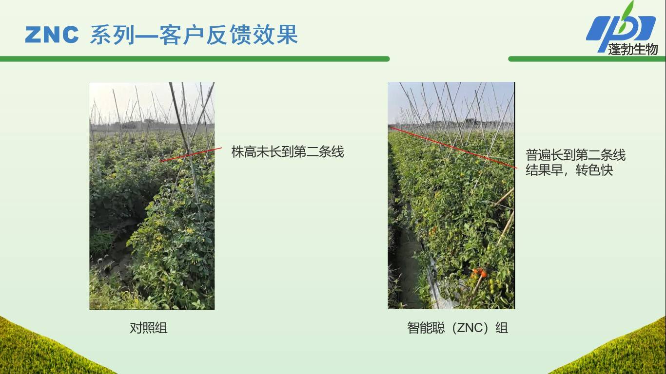 图片 3(1).jpg