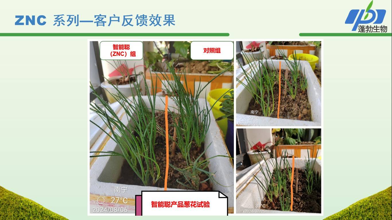 图片 4.jpg