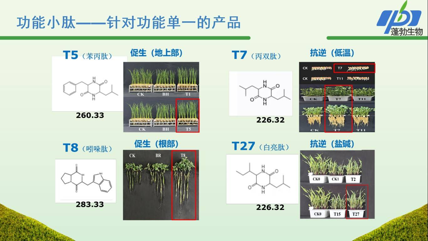 图片 5.jpg