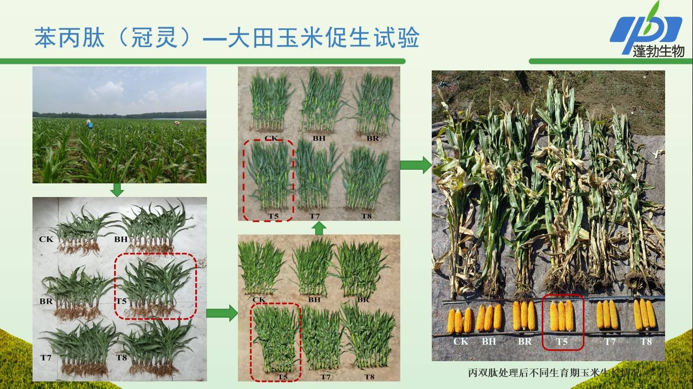 图片 7.jpg