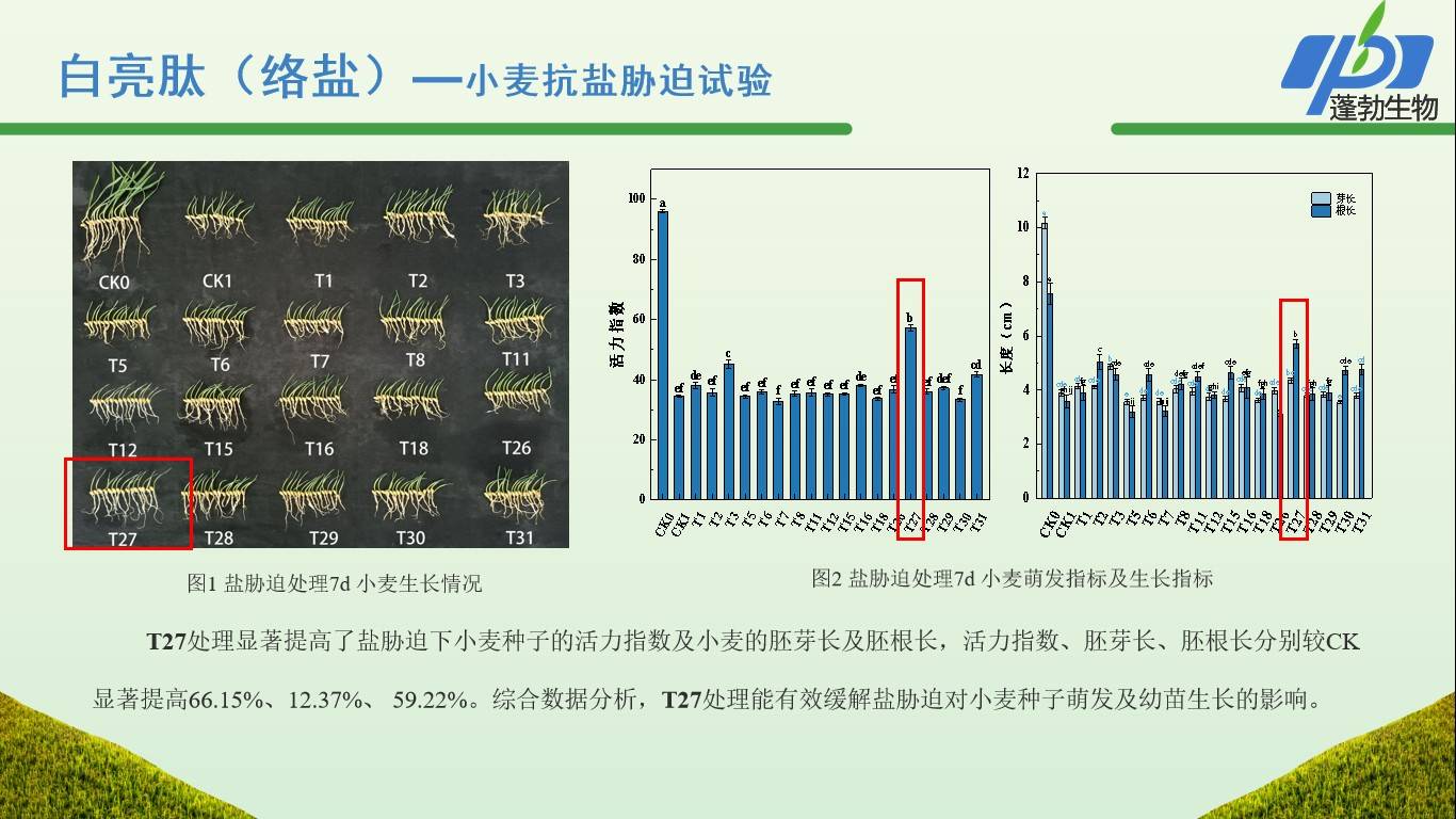图片 10.jpg
