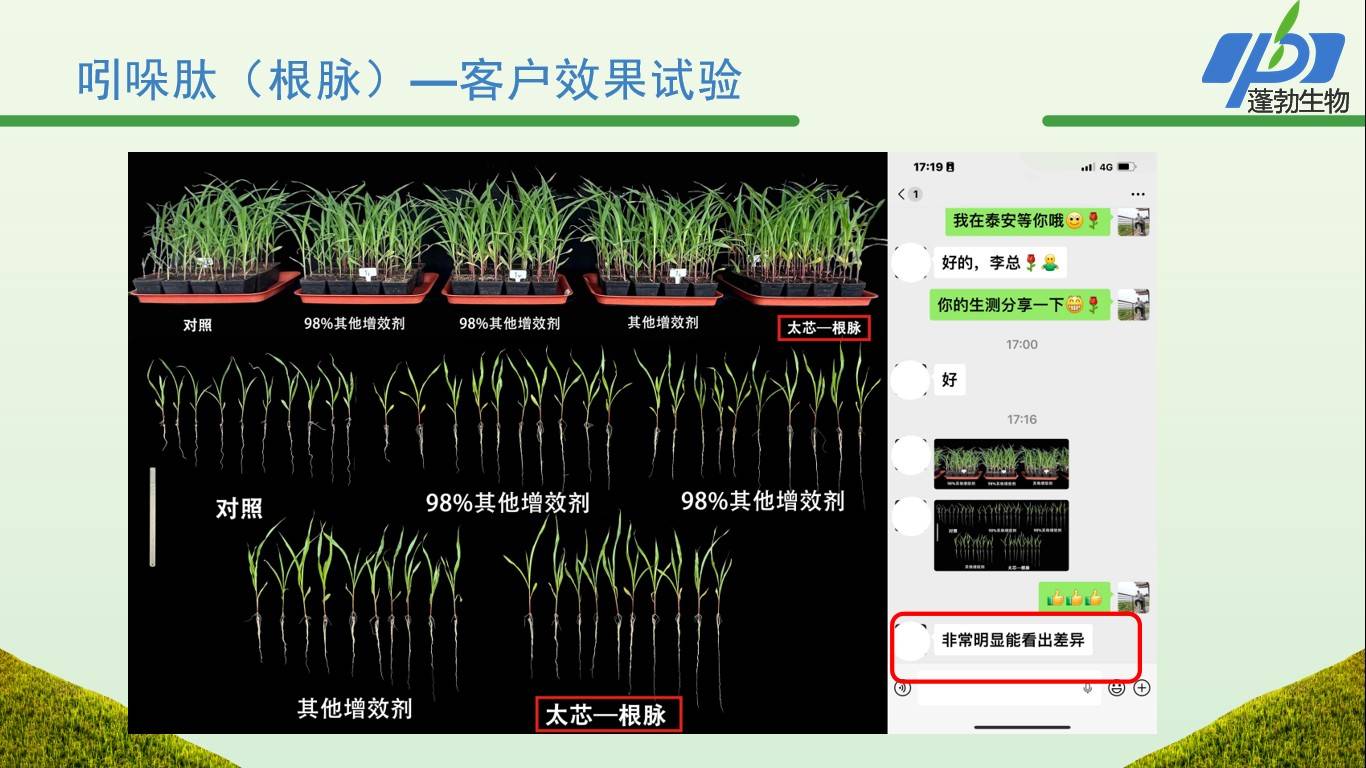 图片 9.jpg