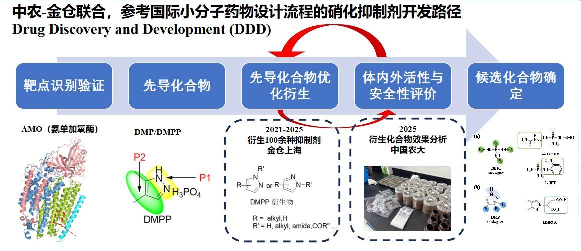 图片 4.jpg