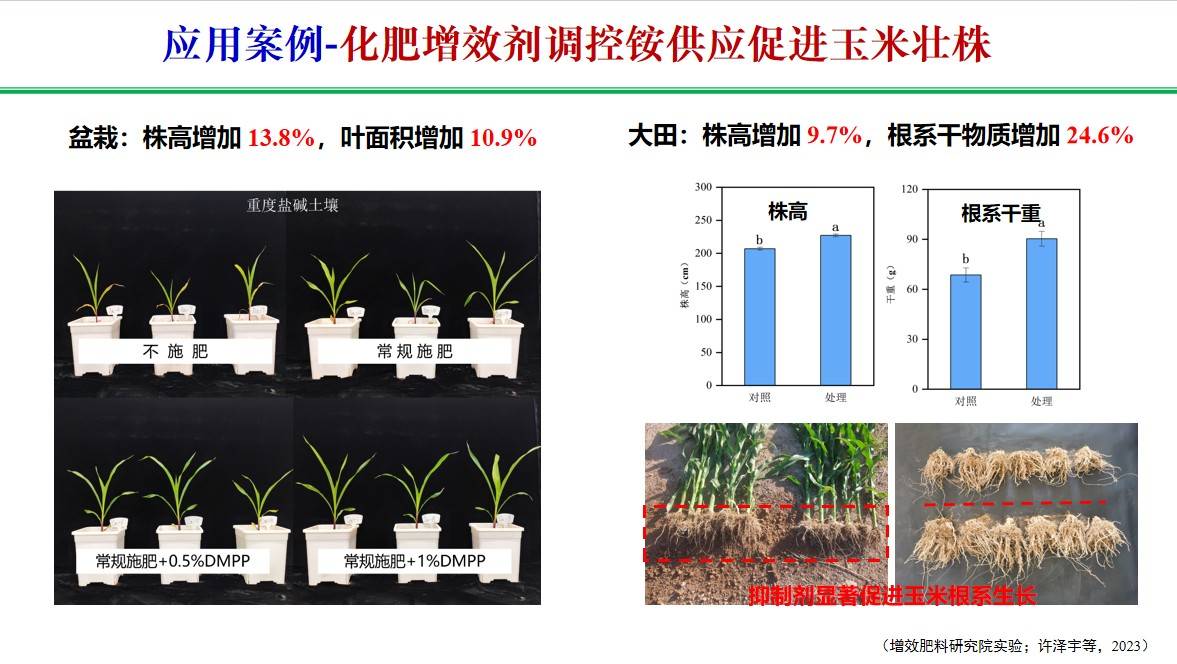图片 9.jpg