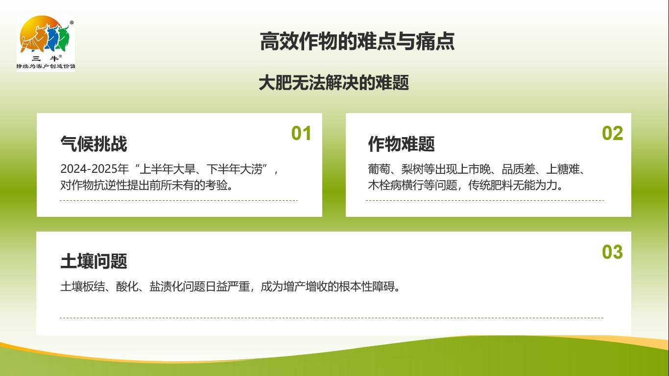 图片 3.jpg