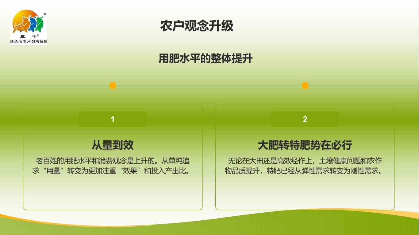 图片 4.jpg