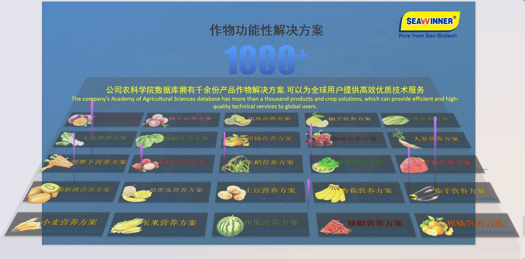 图片 10.jpg
