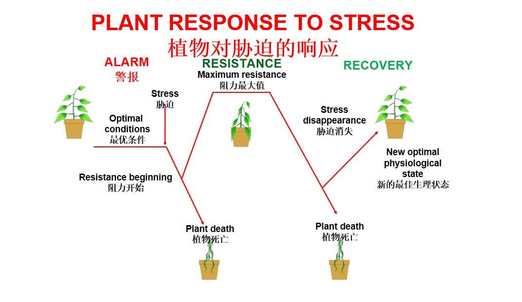 图片 2.jpg