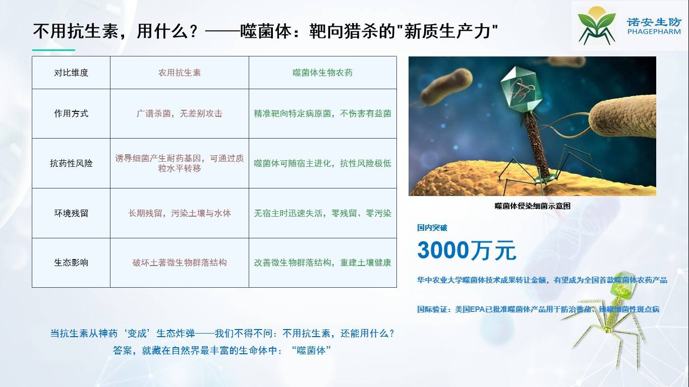 图片 3.jpg
