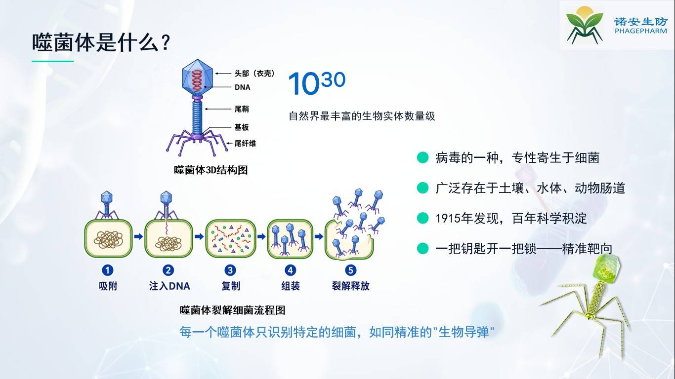 图片 4.jpg