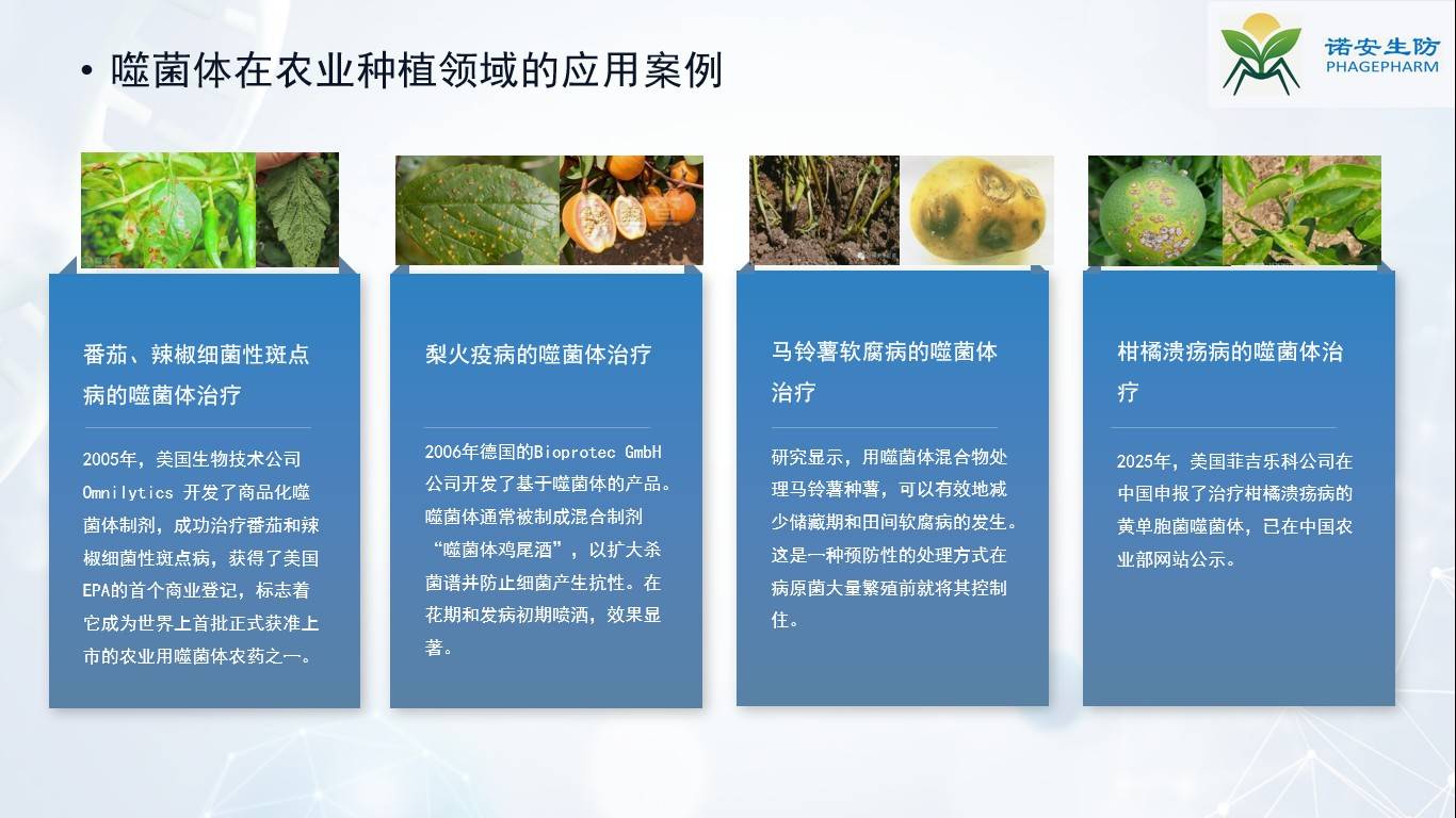 图片 5.jpg