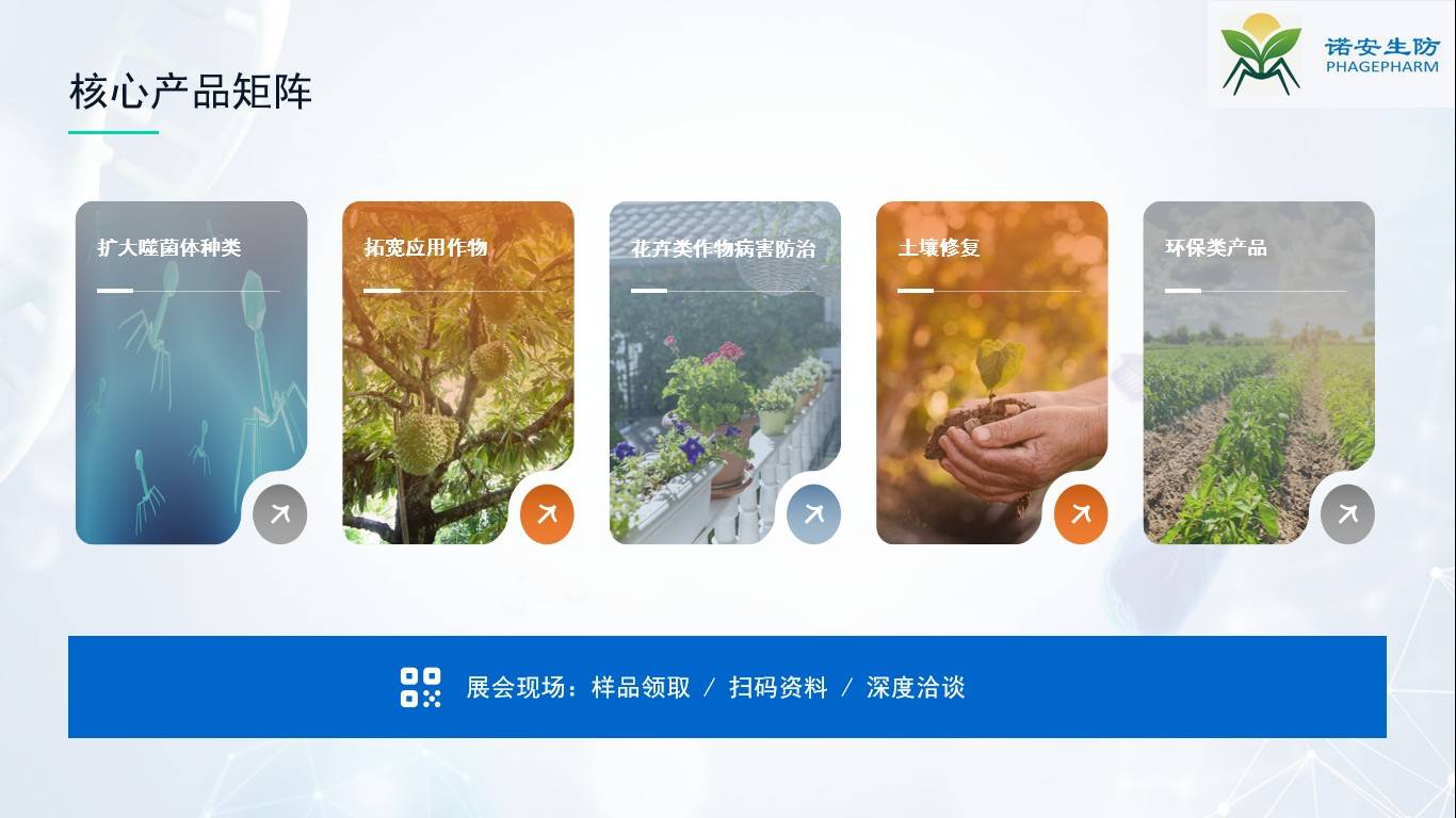 图片 6.jpg
