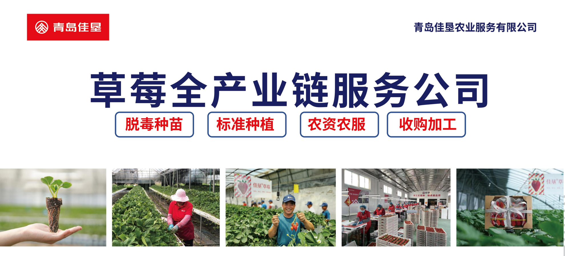 图片14.png