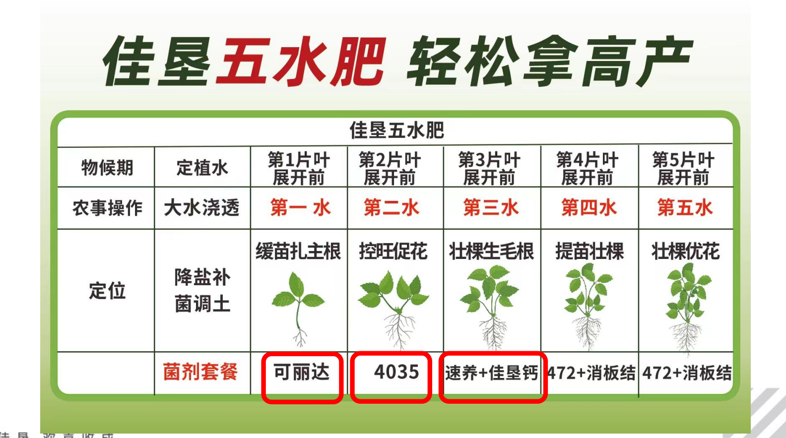 图片16.png