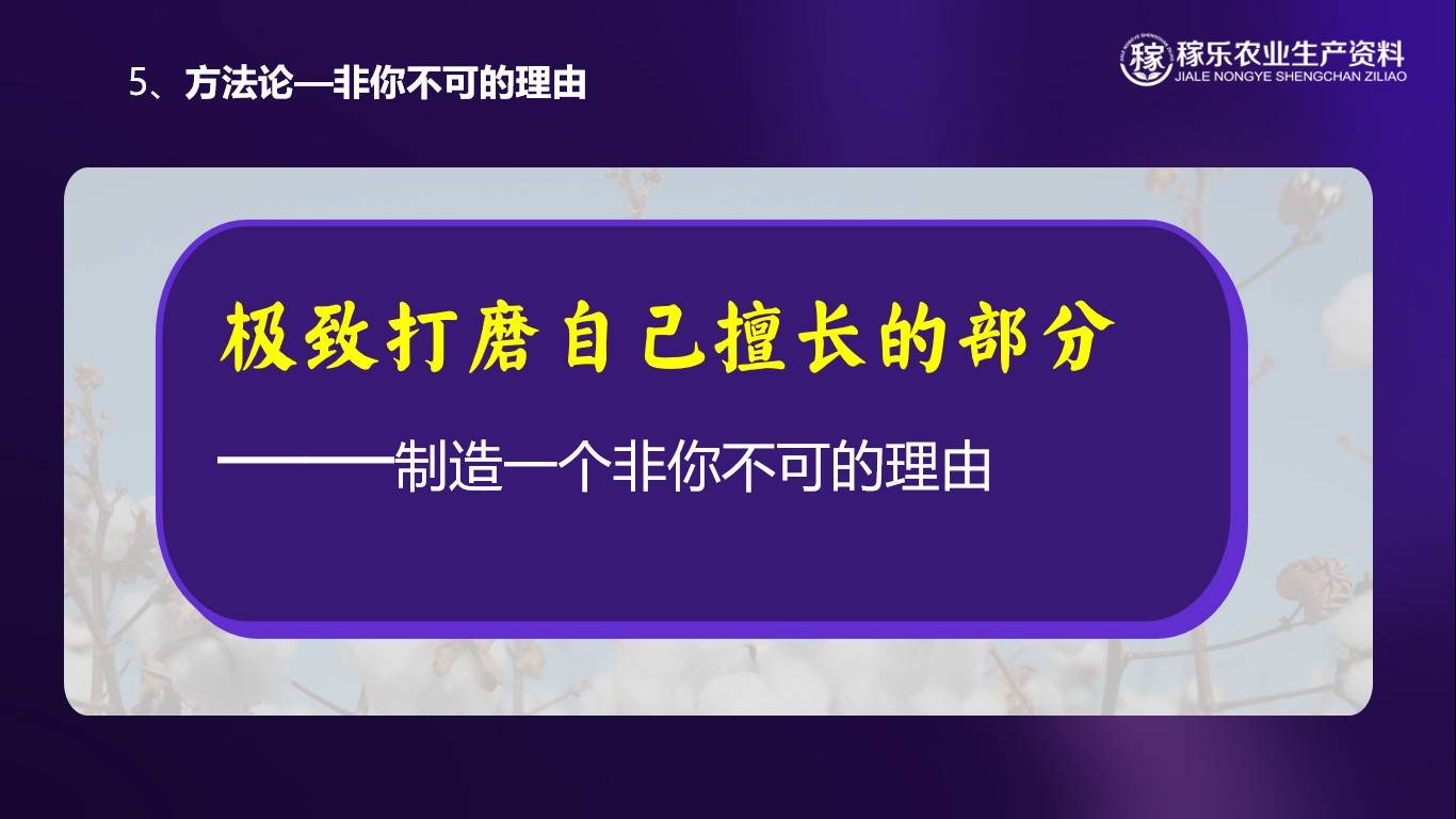 图片 12.jpg