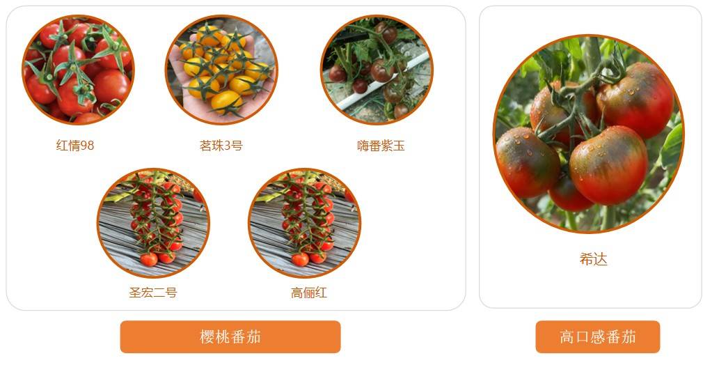 图片 2.jpg