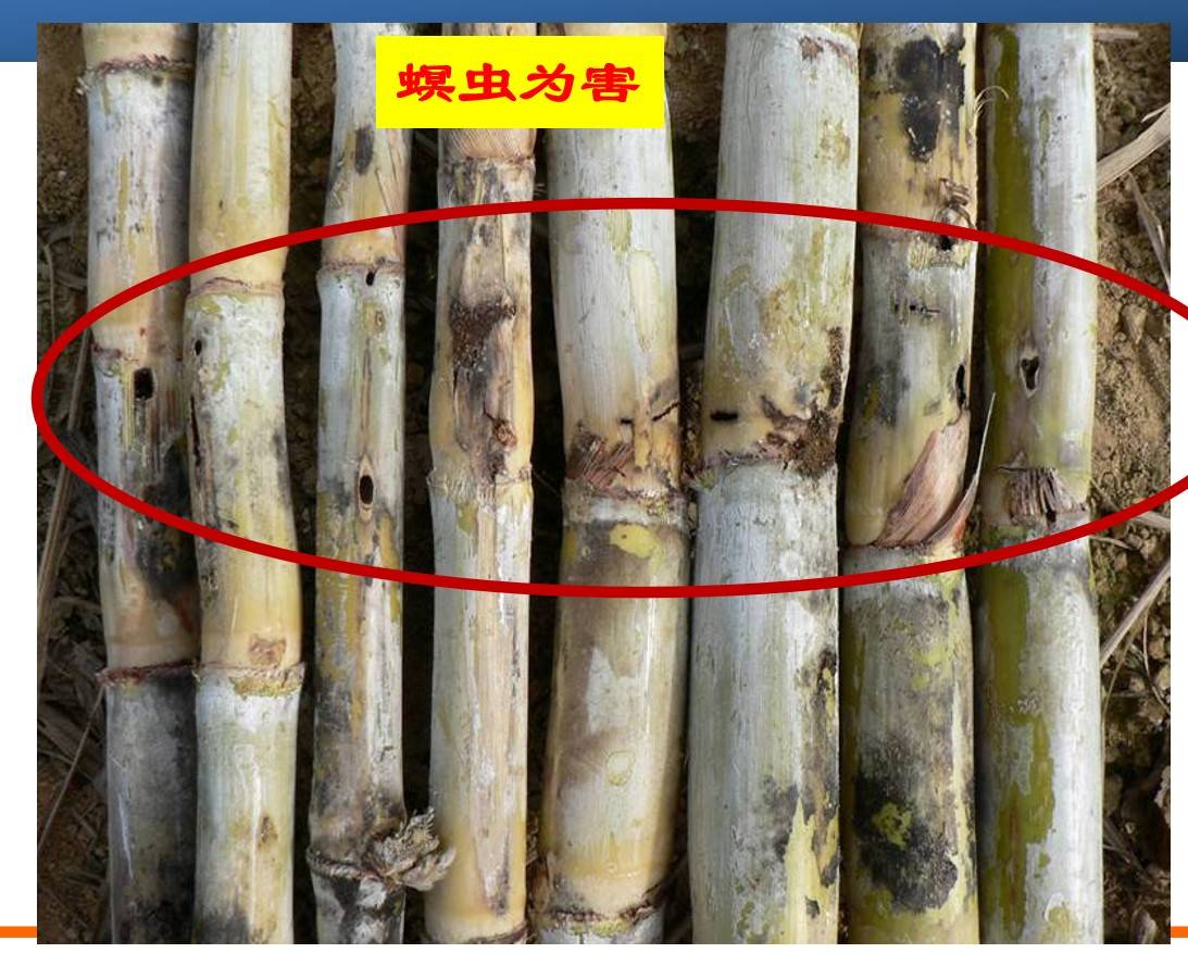 图片 2.jpg