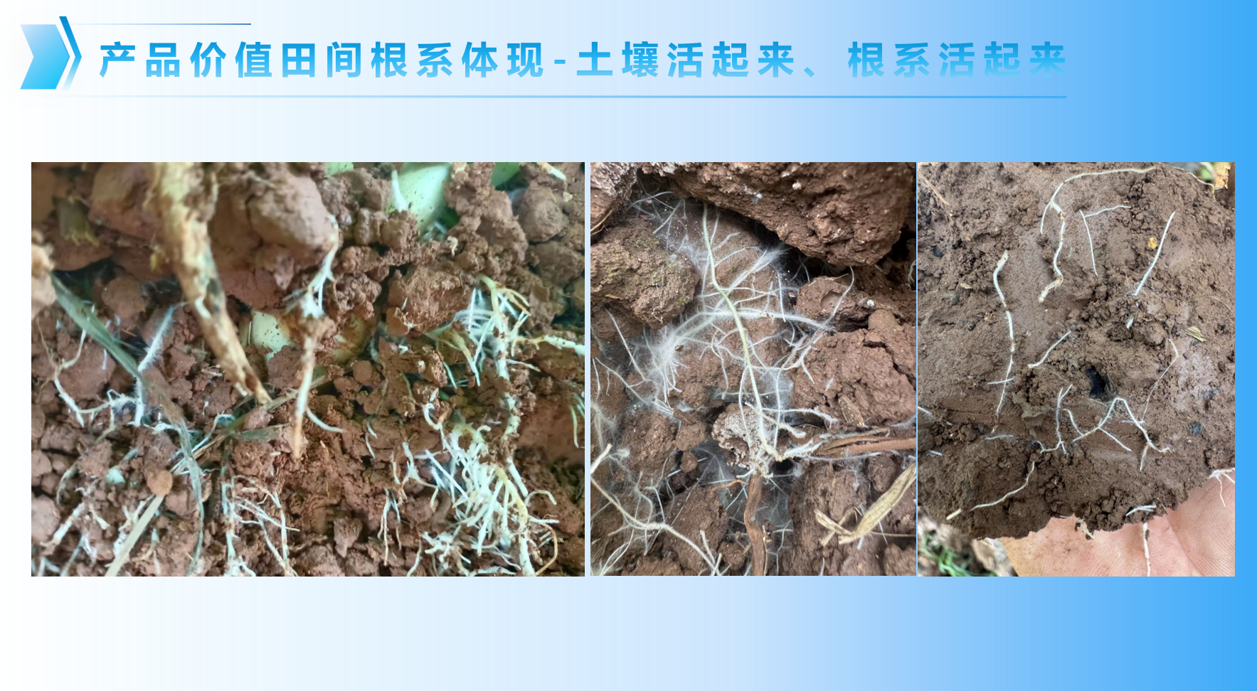 图片15.png