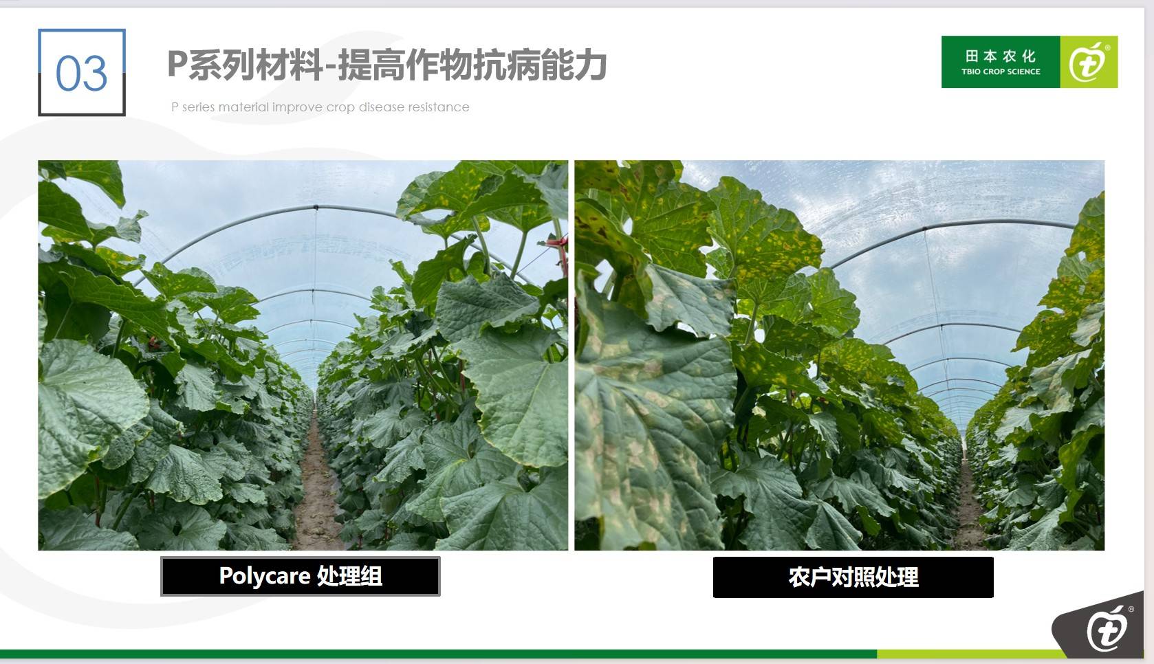 图片 4(1).jpg